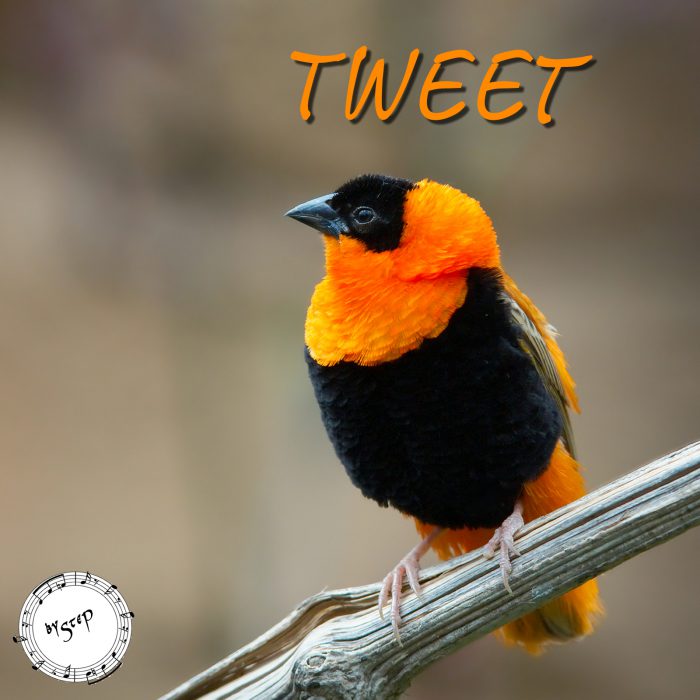 TWEET